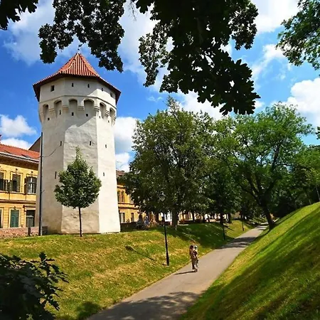 Casa Clopotarului Apartment Sibiu